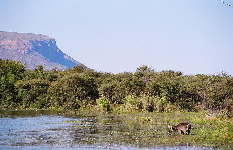 Marataba-Safari-Lodge-9.jpg