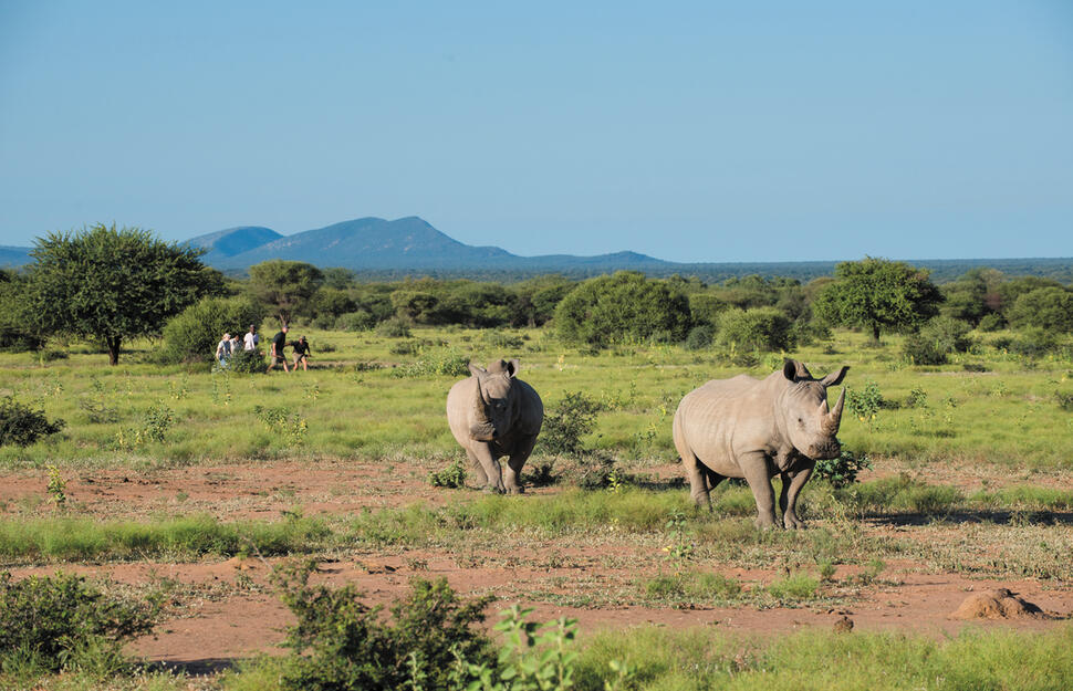 Marataba-Safari-Lodge-5.jpg