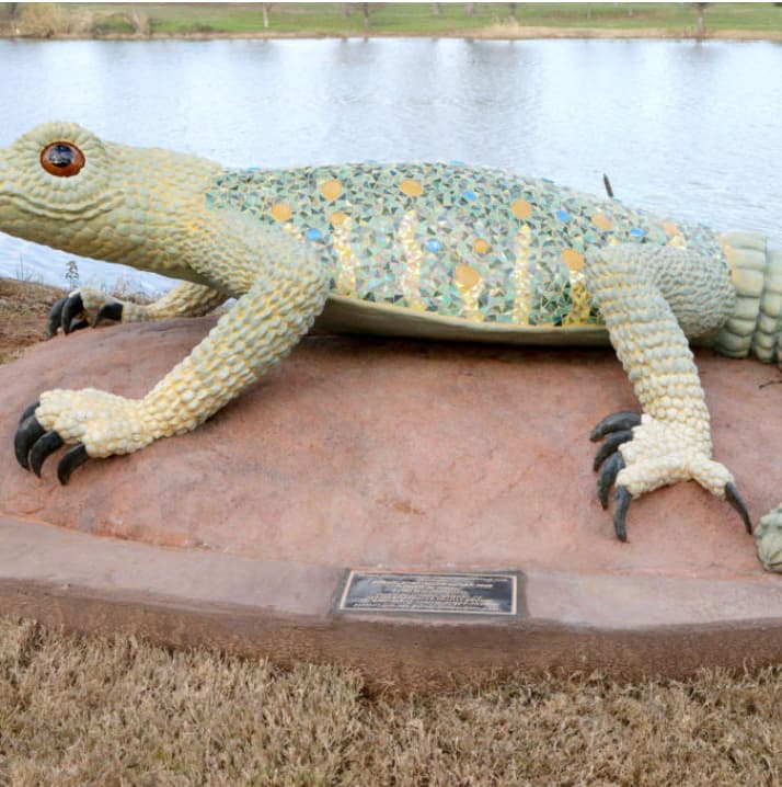 Ornate Spiny-Tailed Lizard