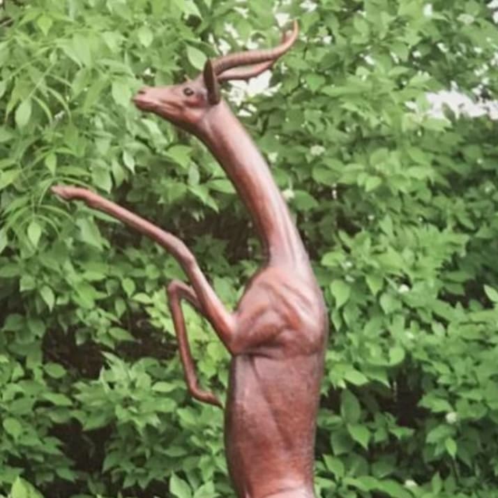 Gerenuk