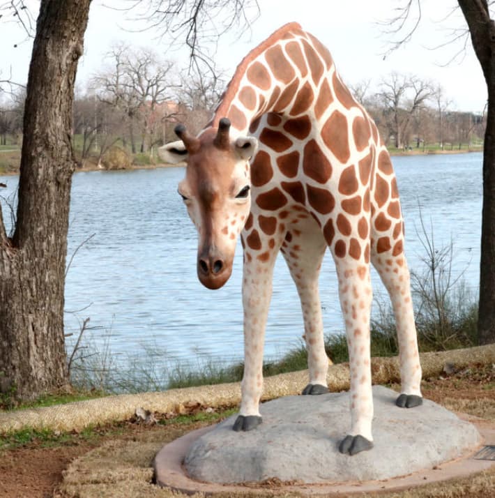 Giraffe