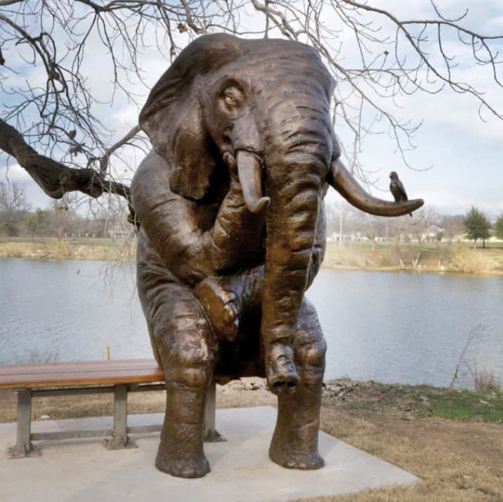 Wise Elephant