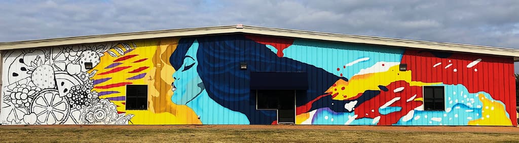 The Color of Health Mural