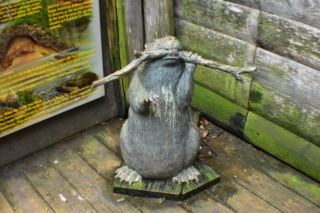 Beaver