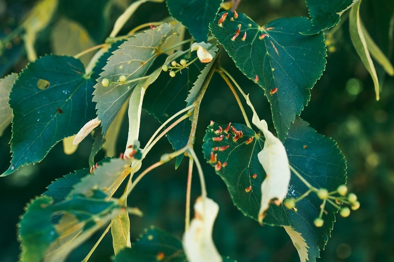 Omdena feature image