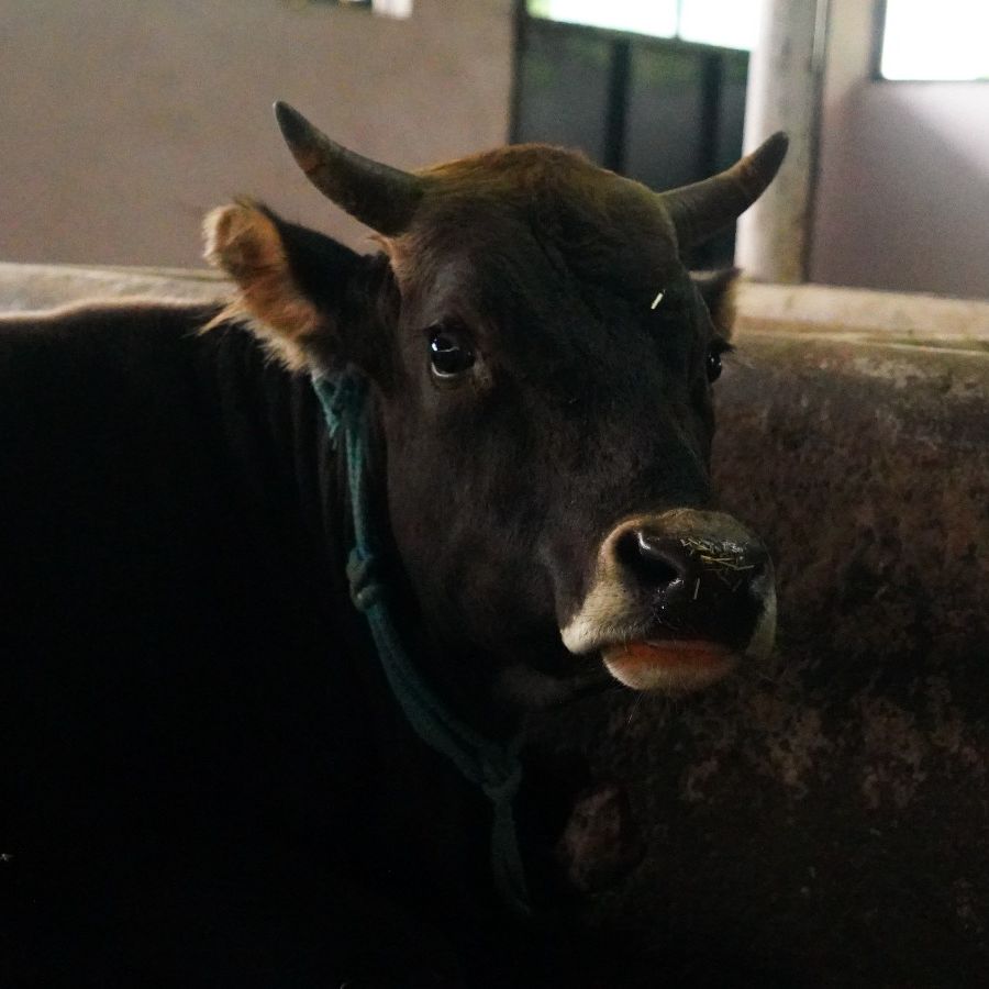 Sunder Lal