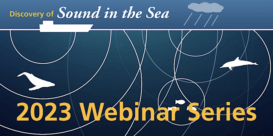 How Marine Mammals Respond to Underwater Ambient Noise