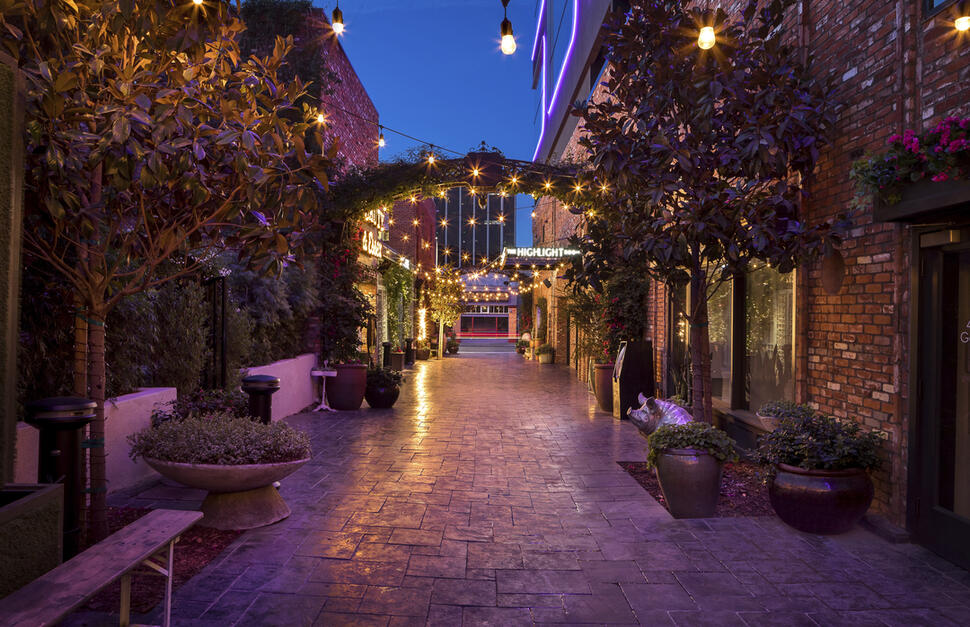 Dream-Hollywood-2.jpg