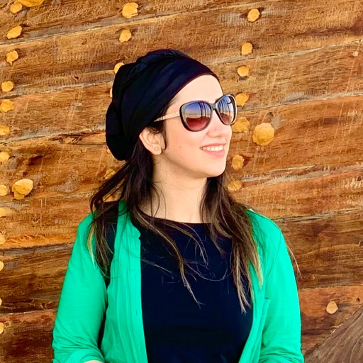 Negin Bozorgnejad