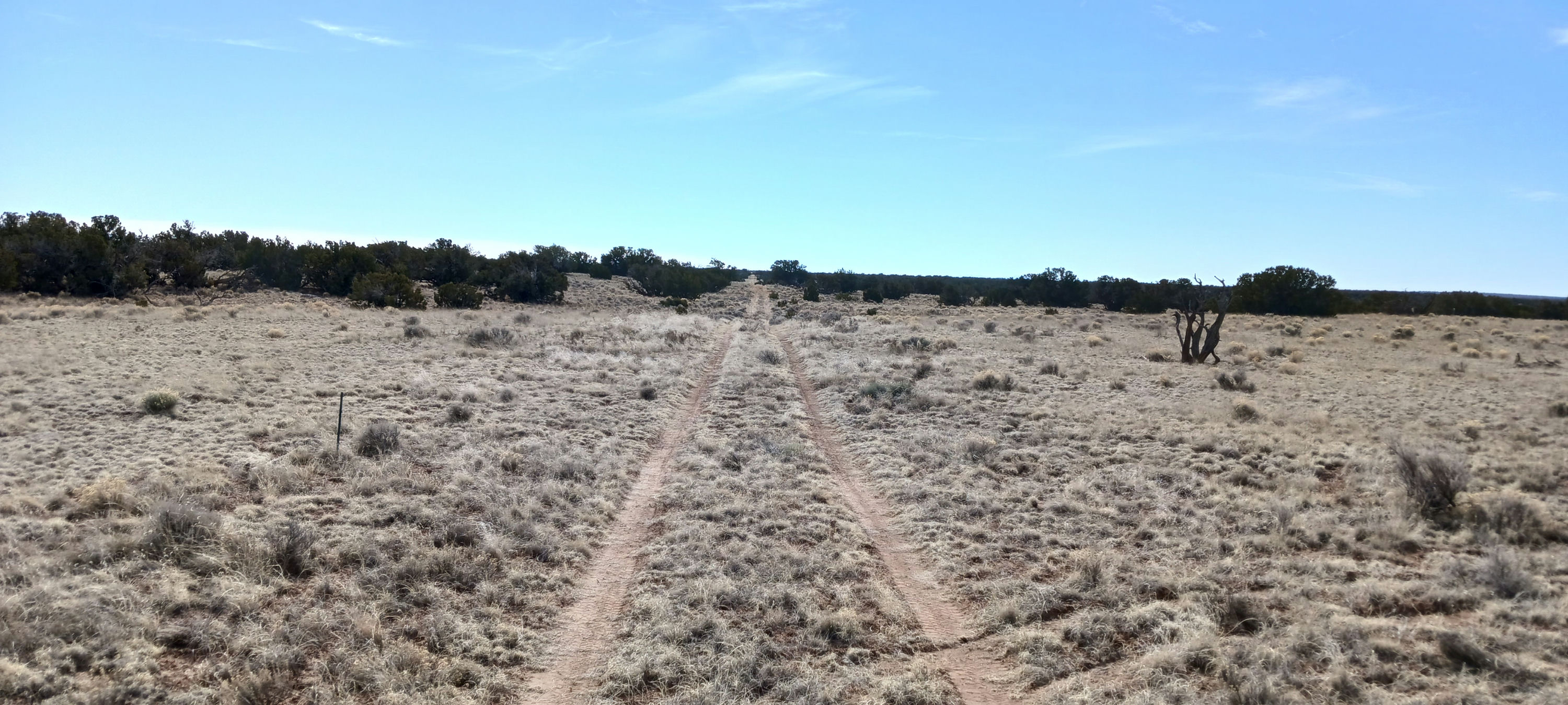 Copy of 206-51-439 N7452 facing South.jpg