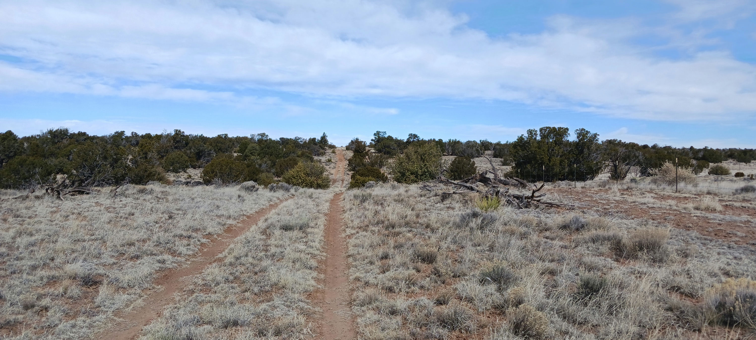 Copy of 206-51-439 N7452 facing north.jpg