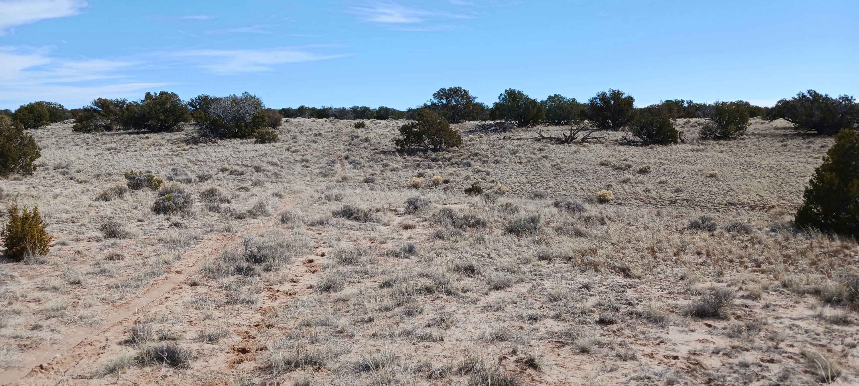 Copy of 206-51-439 Northern border road facing east.jpg