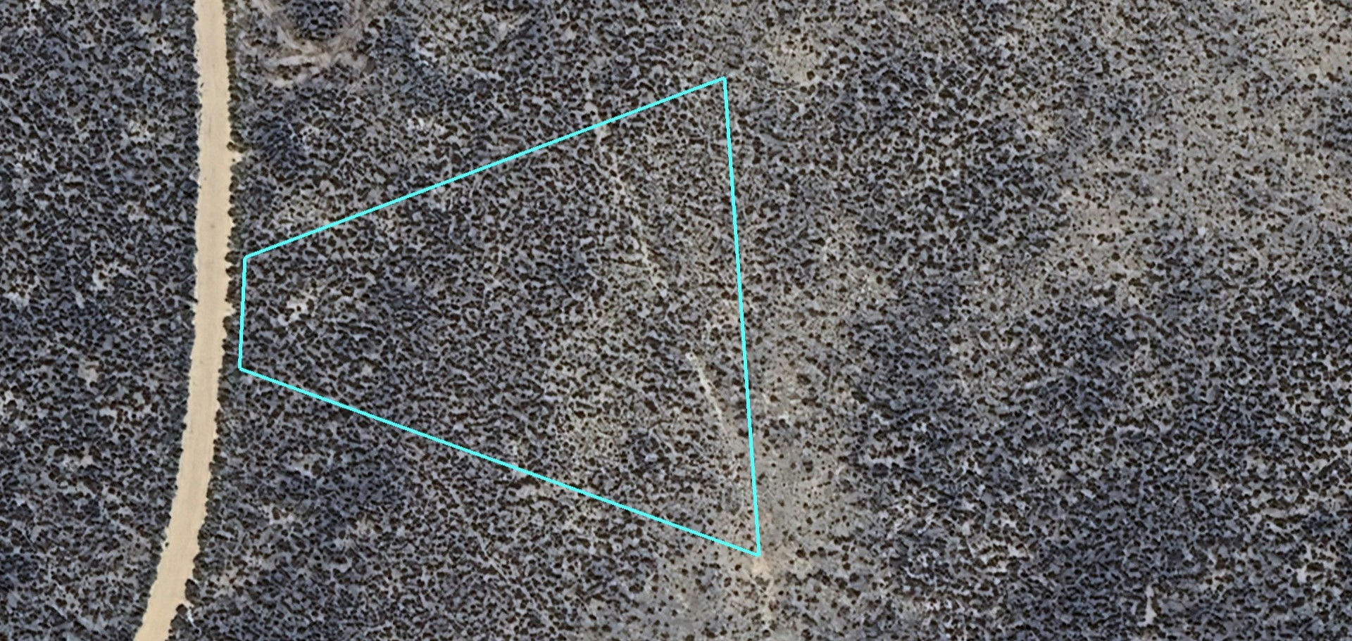 pic 8.jpg