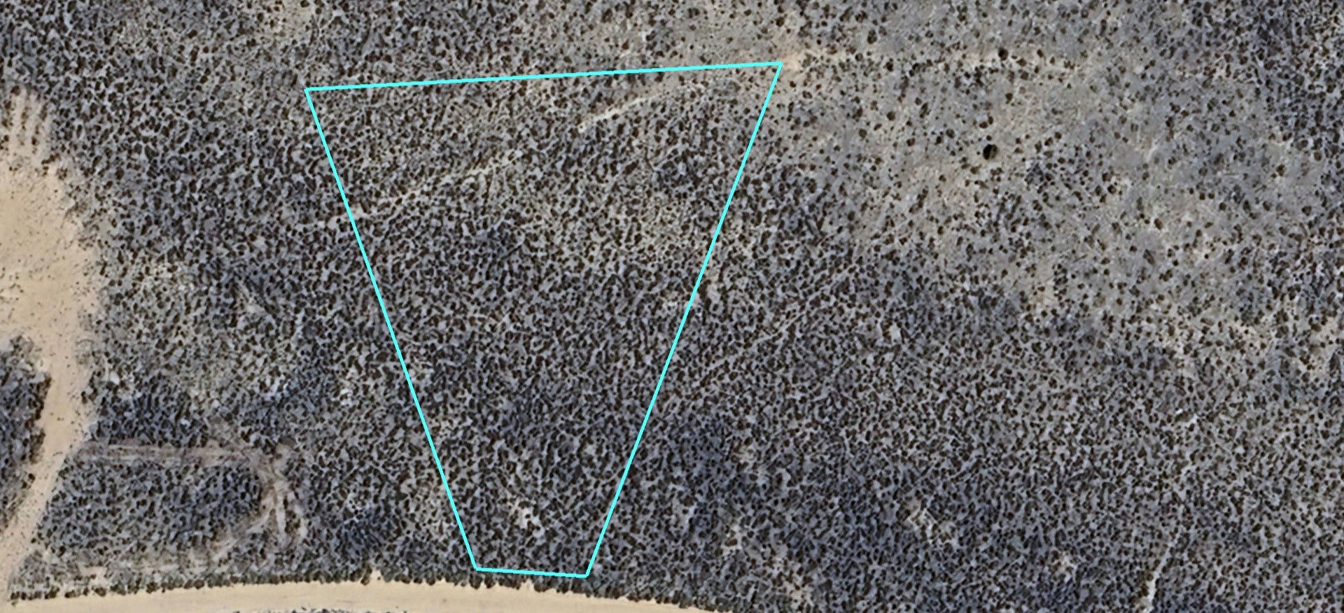 pic 9.jpg