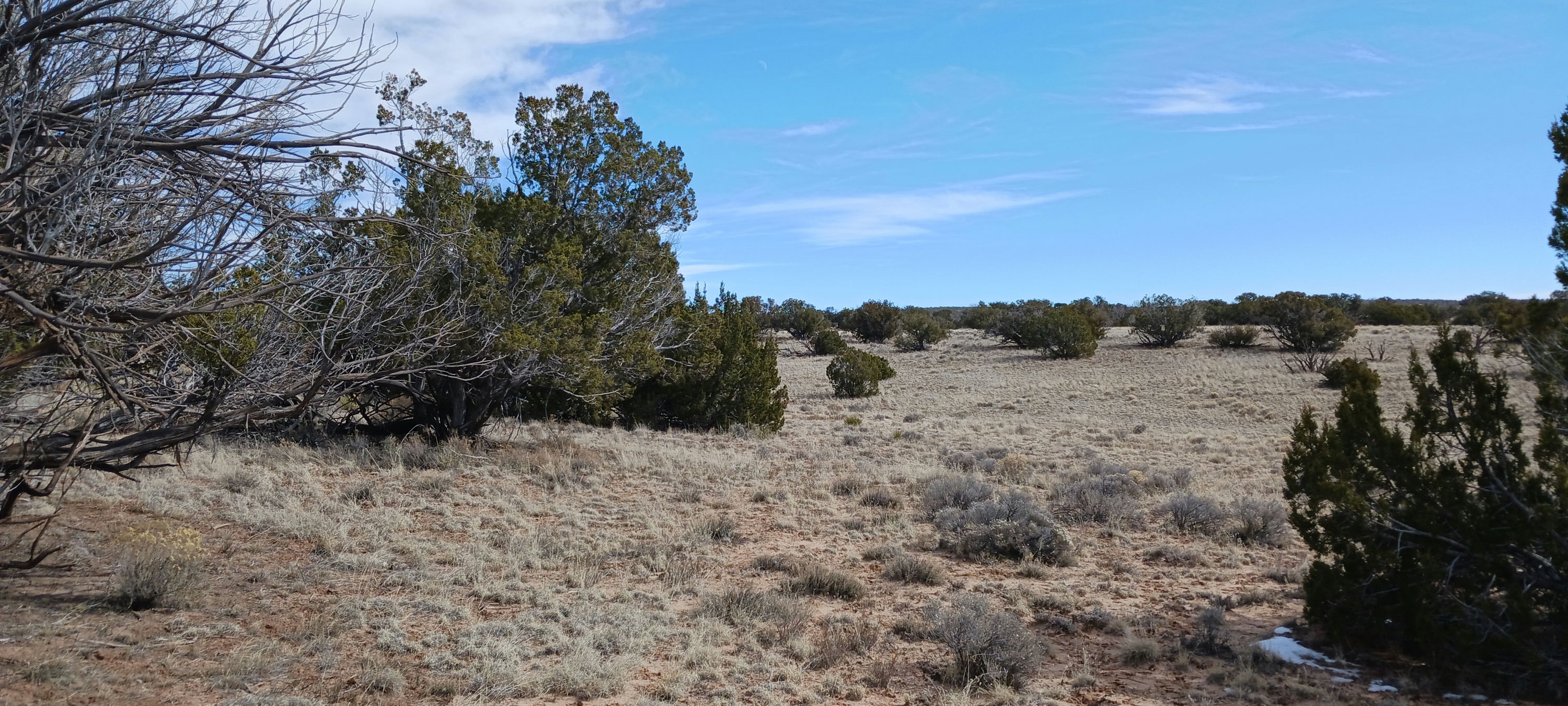 Copy of 206-51-439 East view.jpg