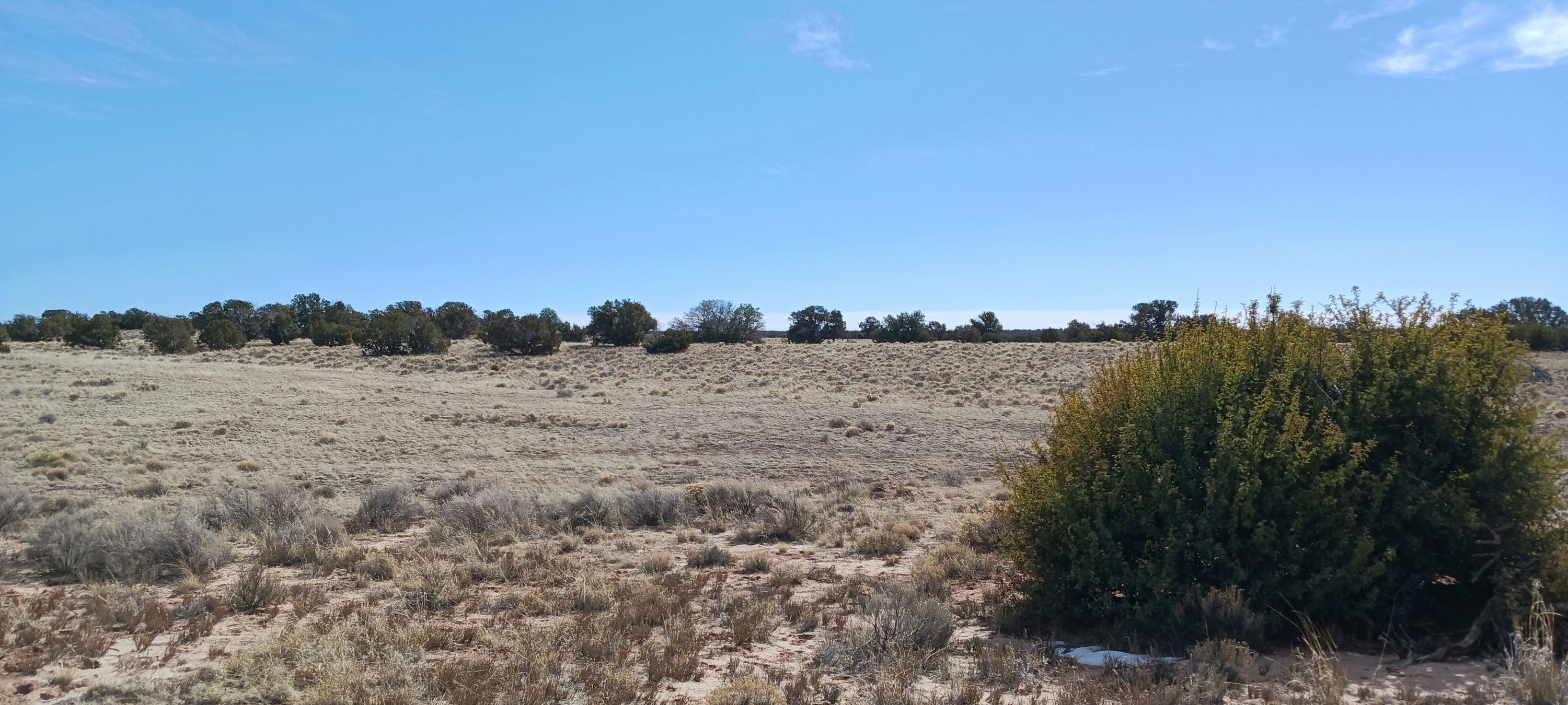 Copy of 206-51-439 South view from southern border.jpg