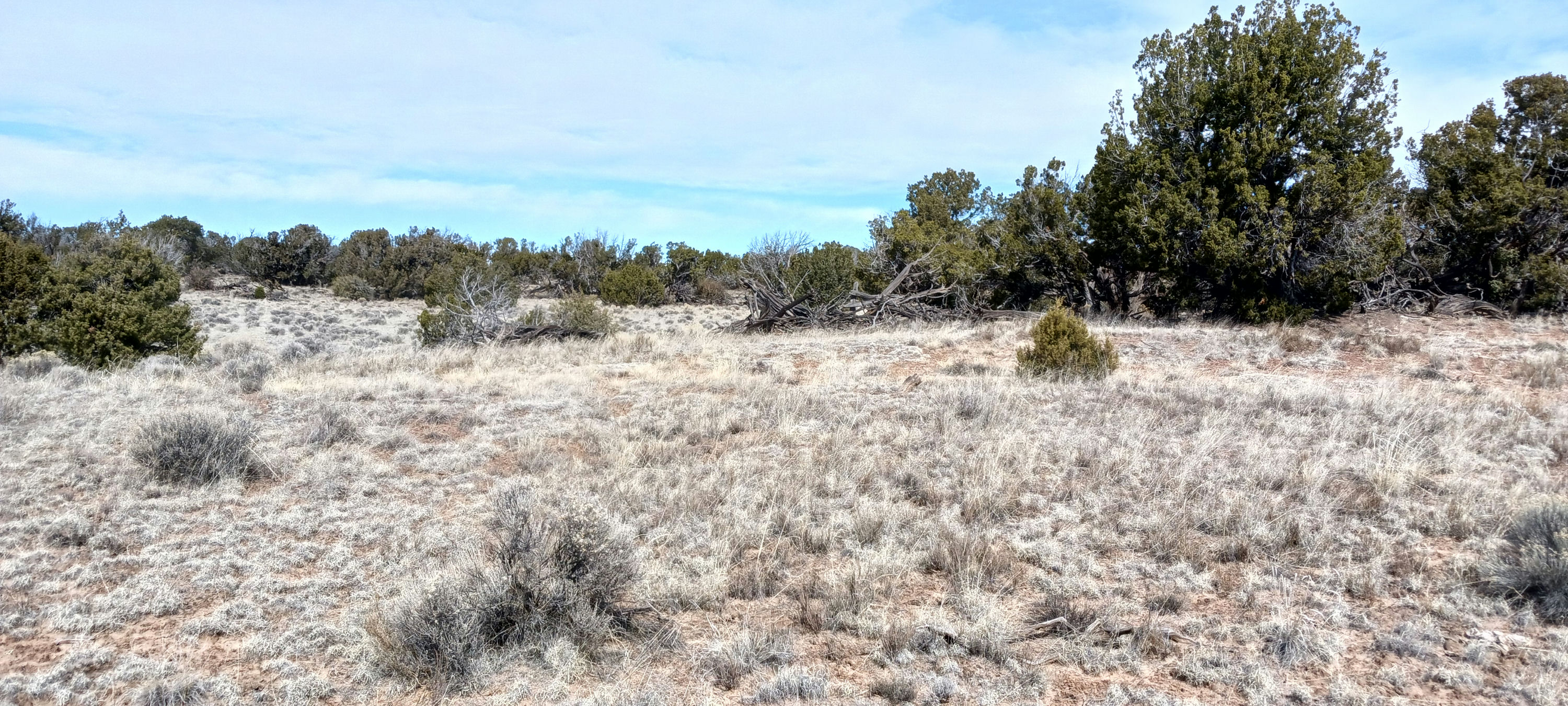 Copy of 206-51-439 North view.jpg
