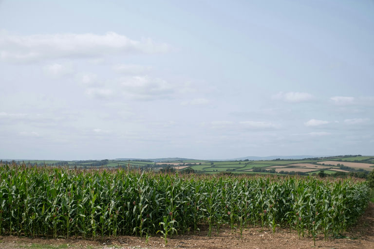 Omdena feature image