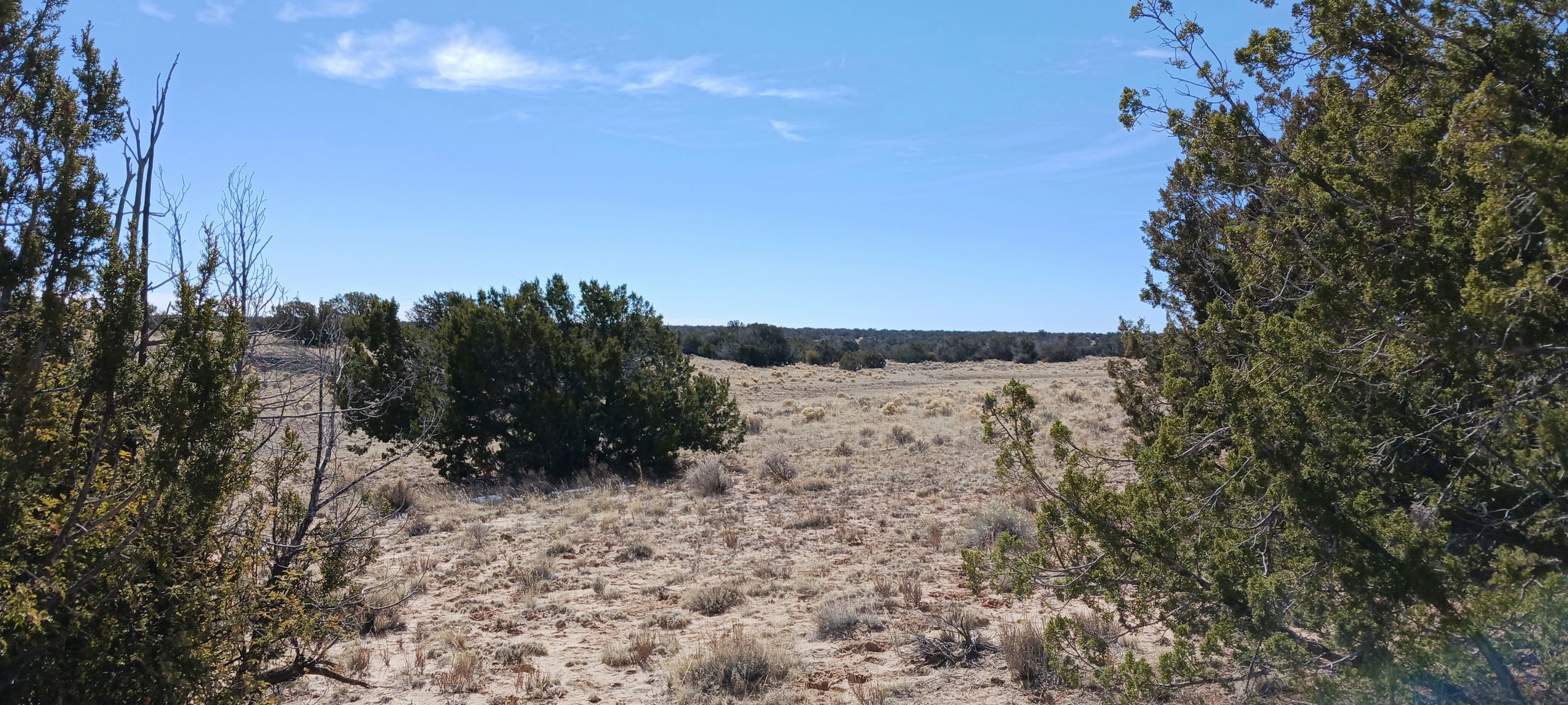 Copy of 206-51-439 SW view from SW corner.jpg