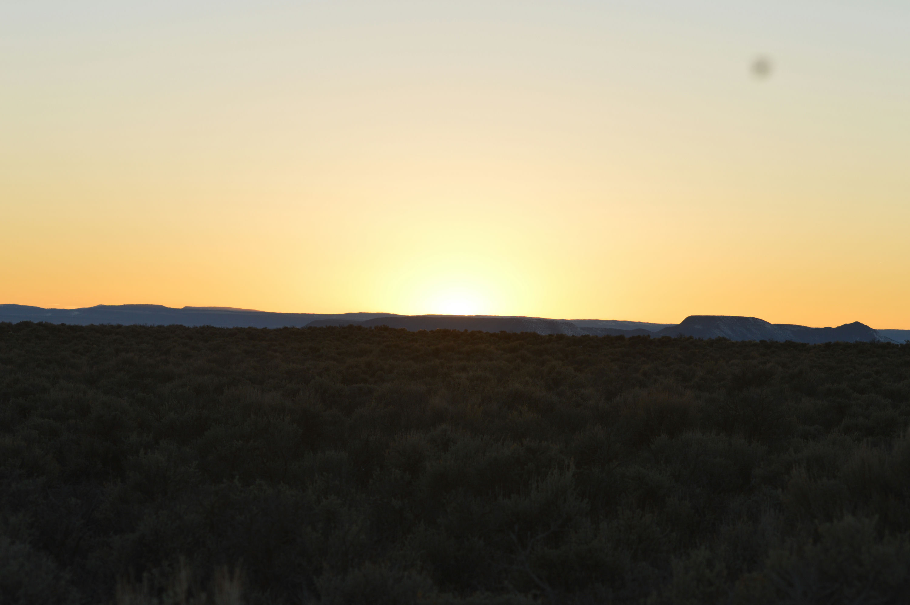 DSC_0216.JPG