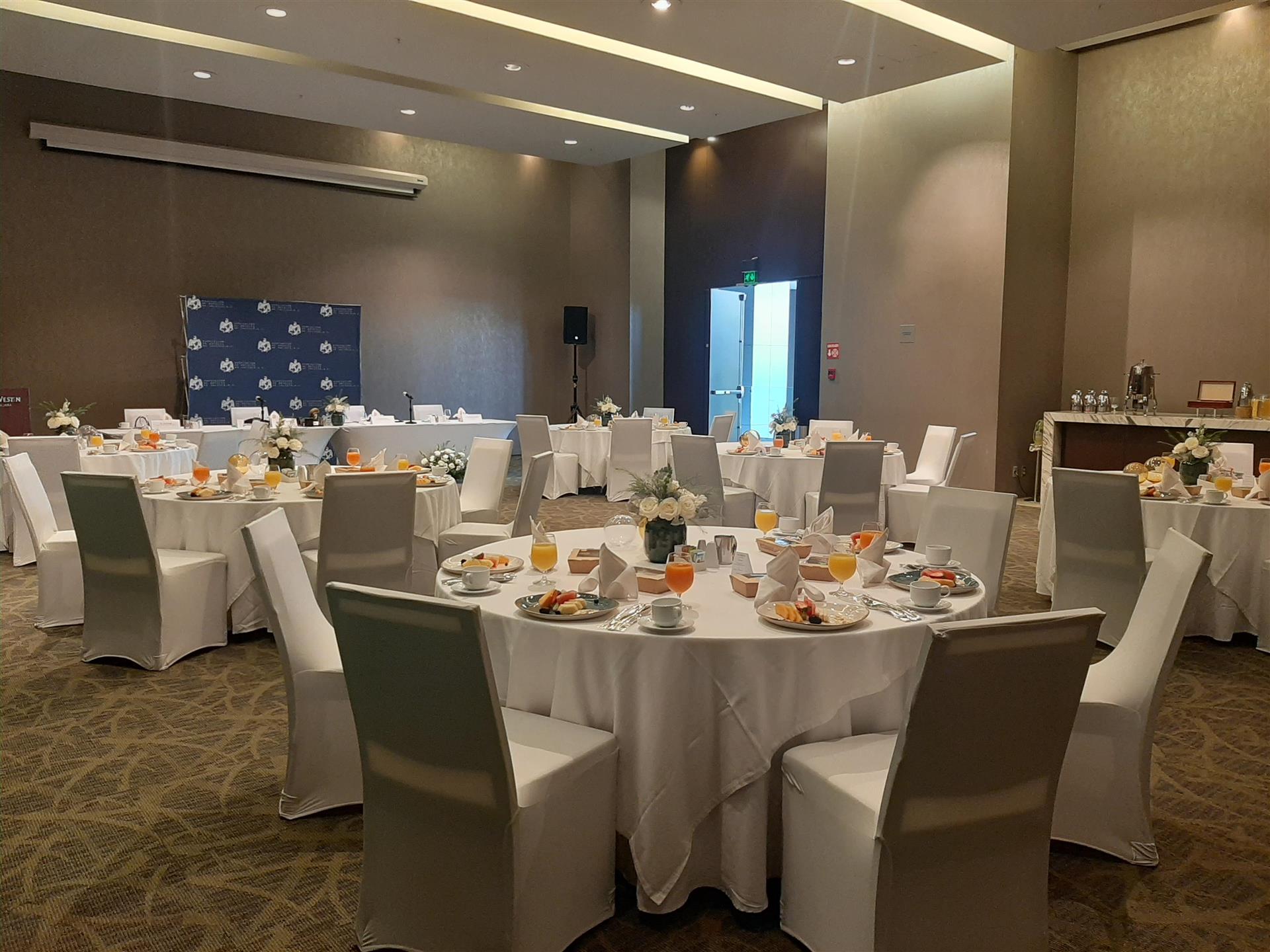 The Westin Guadalajara foto 2