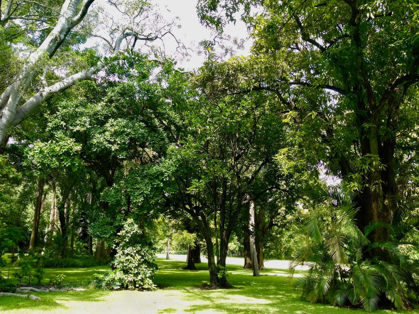 Hacienda De Teresa y Polignac foto 4