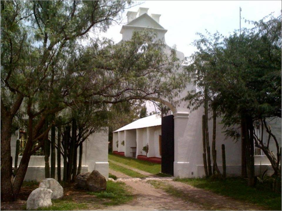 Bodega Dos Búhos foto 3