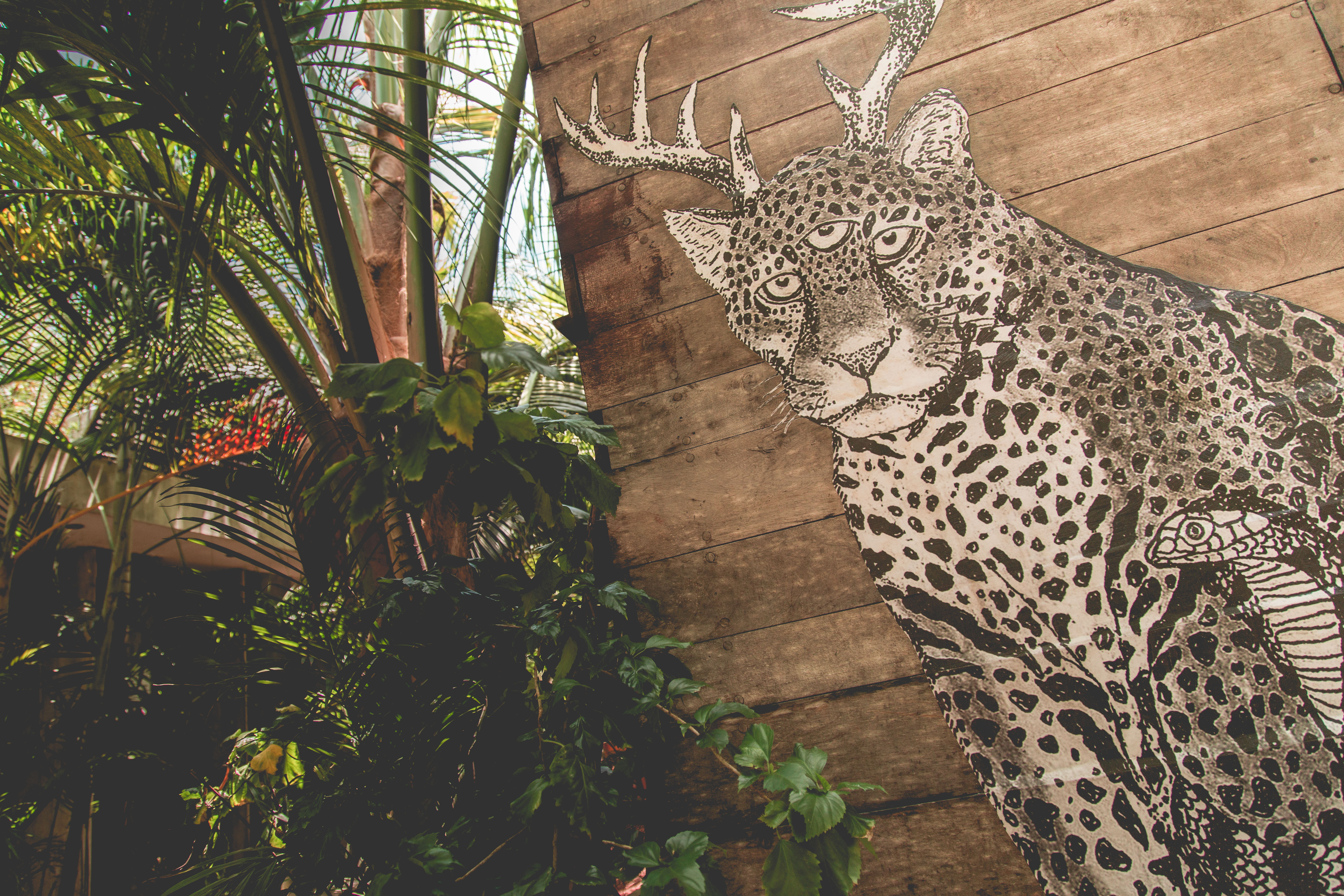 Casa Jaguar Tulum foto 2