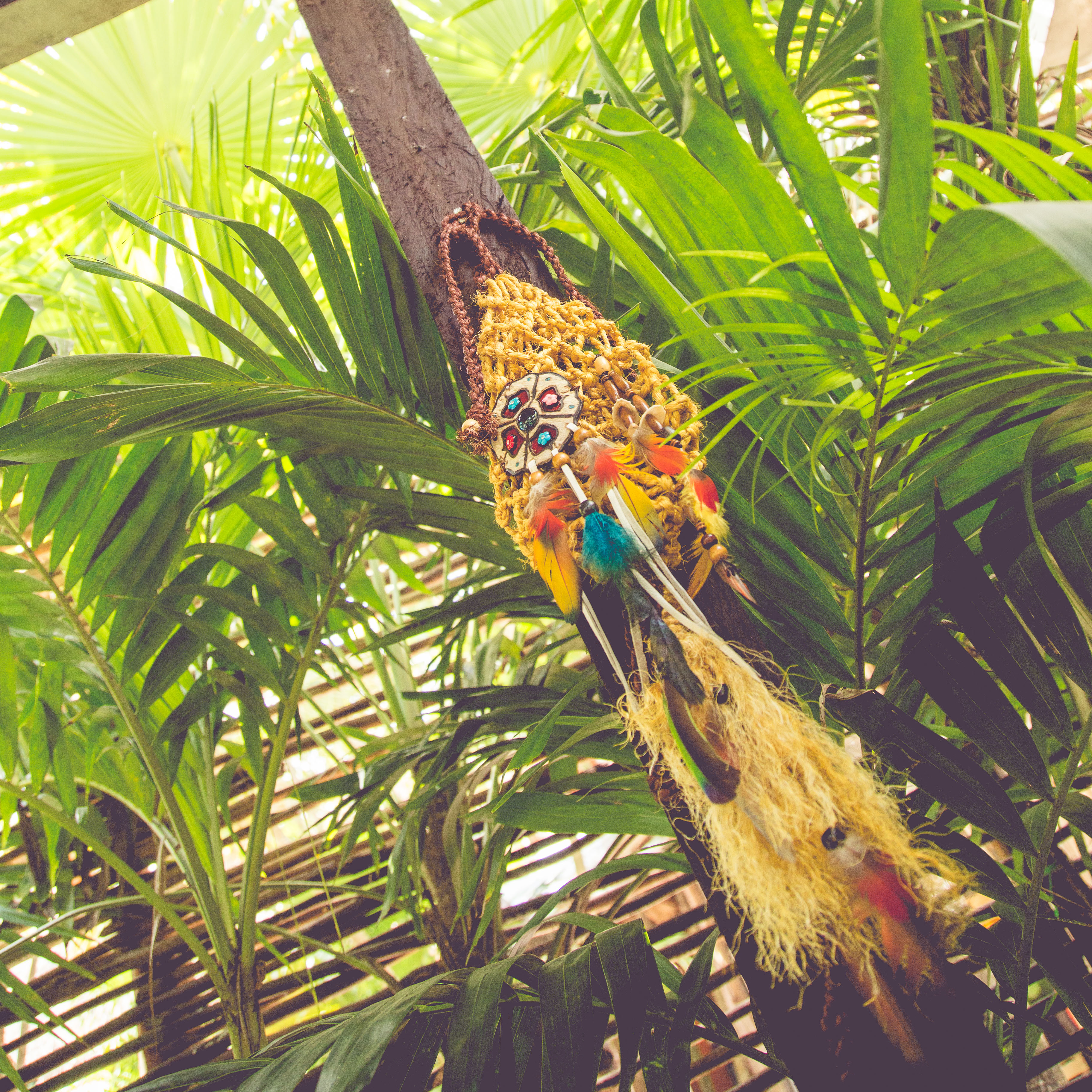 Casa Jaguar Tulum foto 4