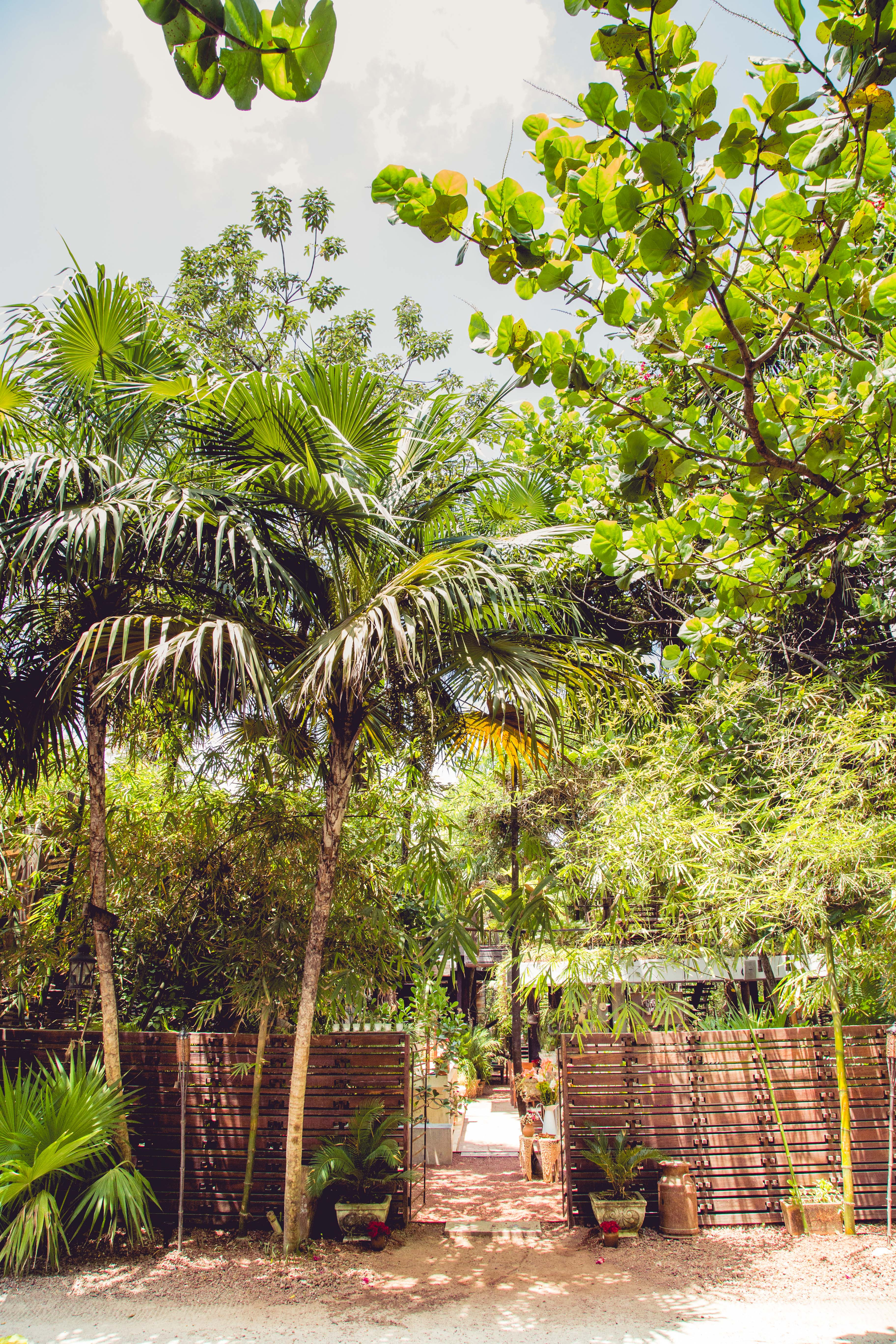 Casa Jaguar Tulum foto 3