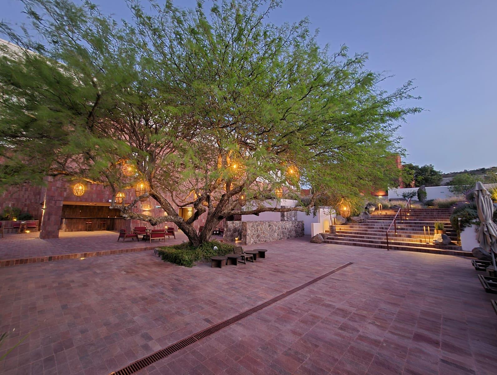Albor San Miguel de Allende, Tapestry Collection by Hilton