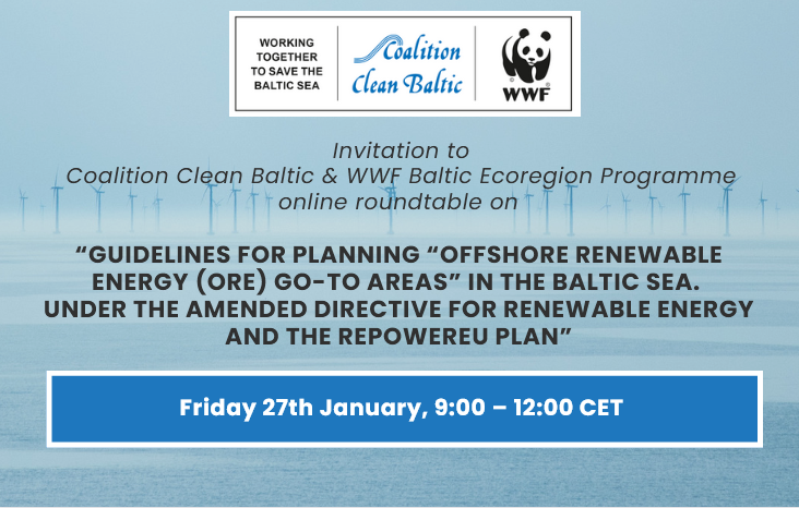 Roundtable on guidelines for Planning &ldquo;Offshore Renewable Energy (ORE) go-to areas&rdquo; in the Baltic Sea