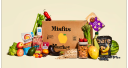 Misfits Market logo