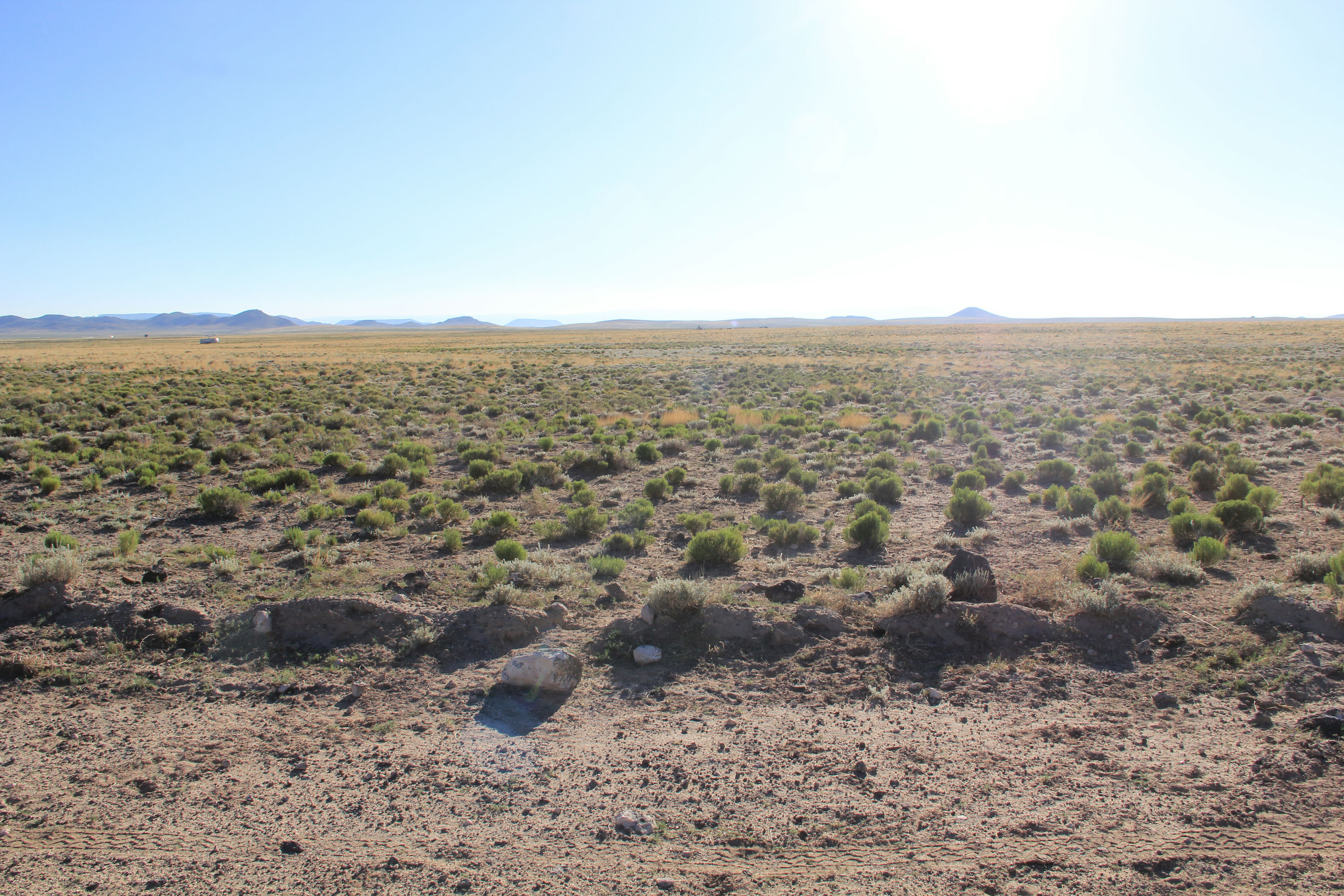 Lot from Road.JPG