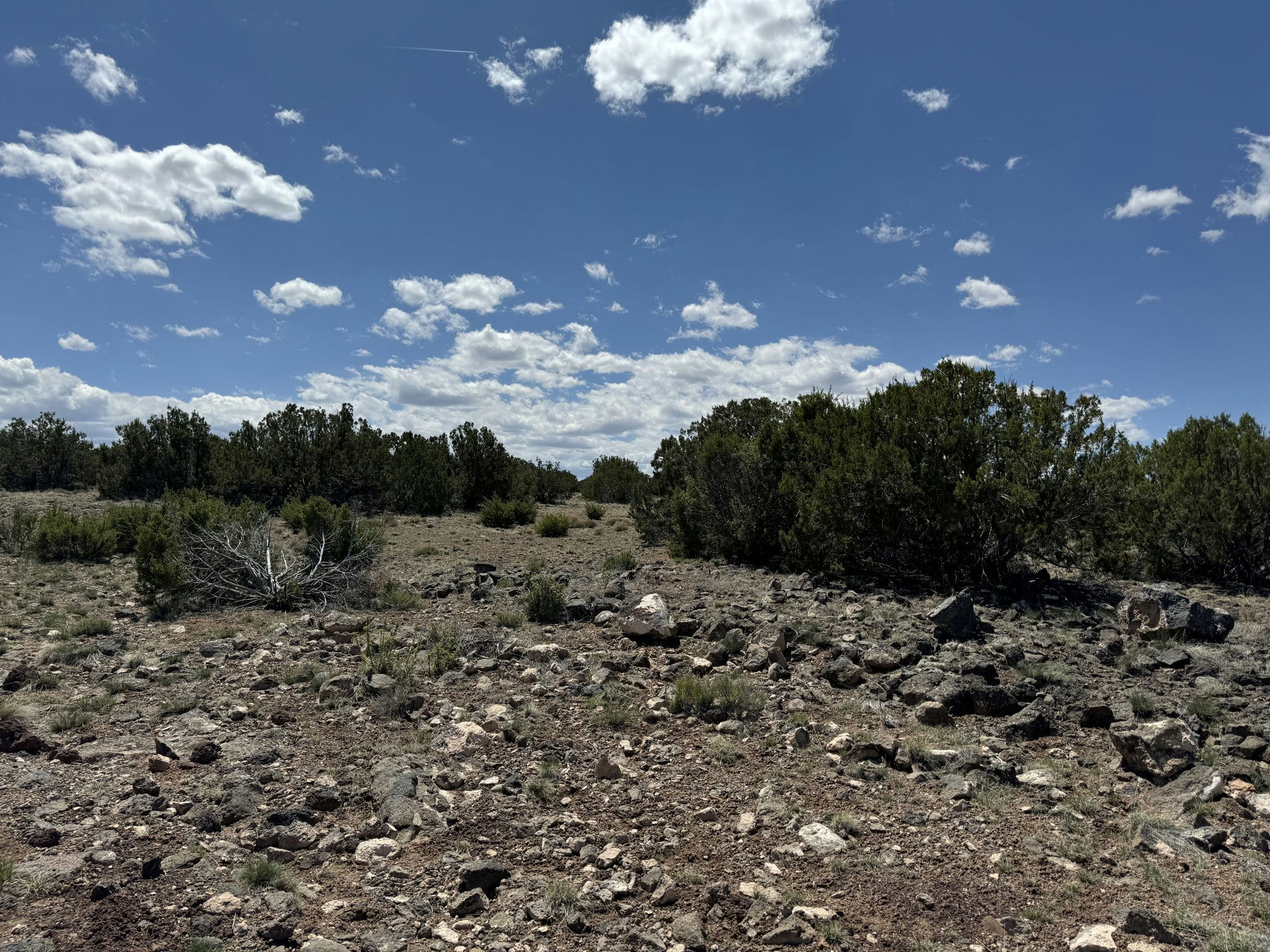 Concho AZ 5076 Rd.jpg