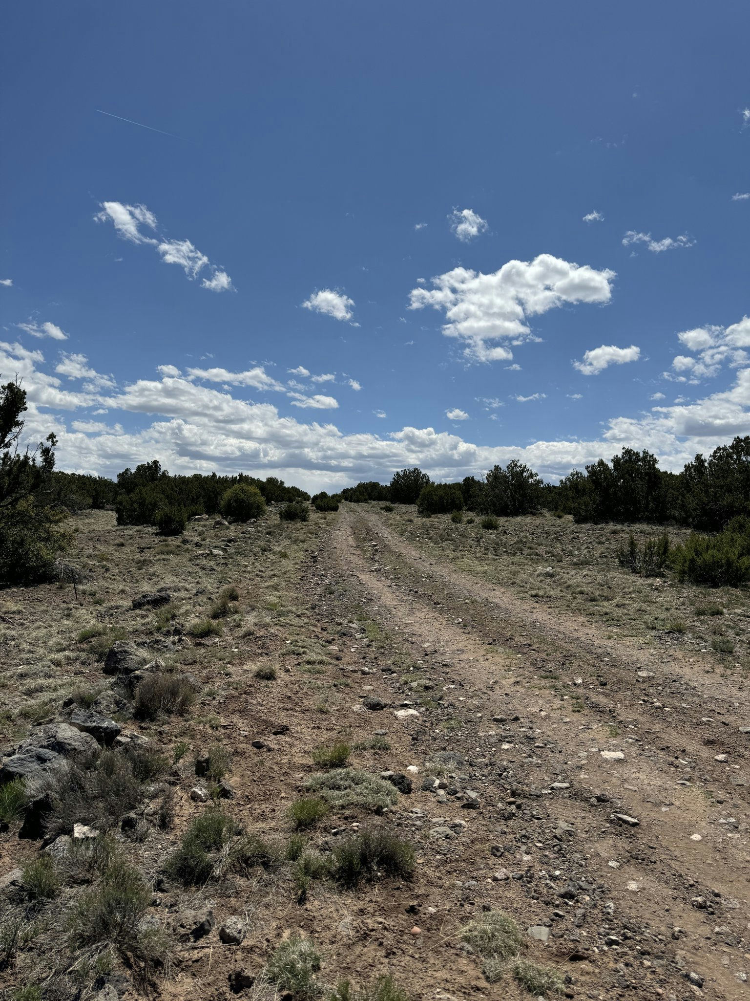 Concho AZ 5076 Rd 6.jpg