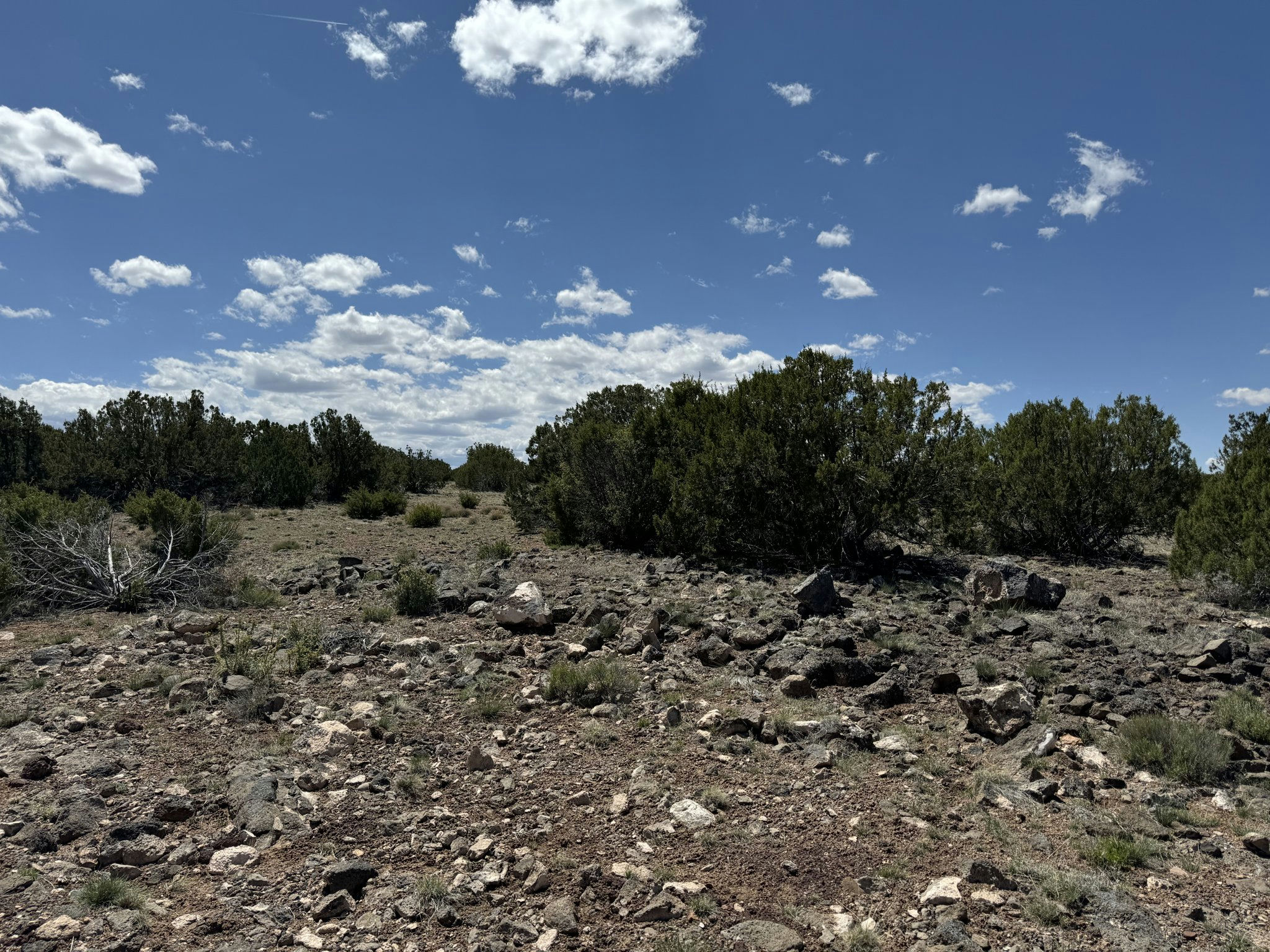 Concho AZ 5076 Rd 2.jpg