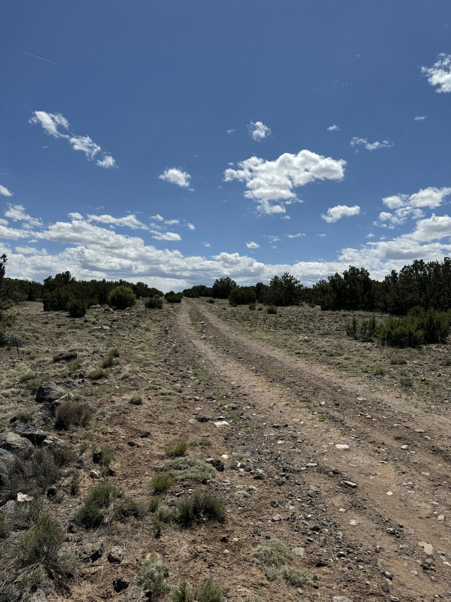 Concho AZ 5076 Rd 7.jpg