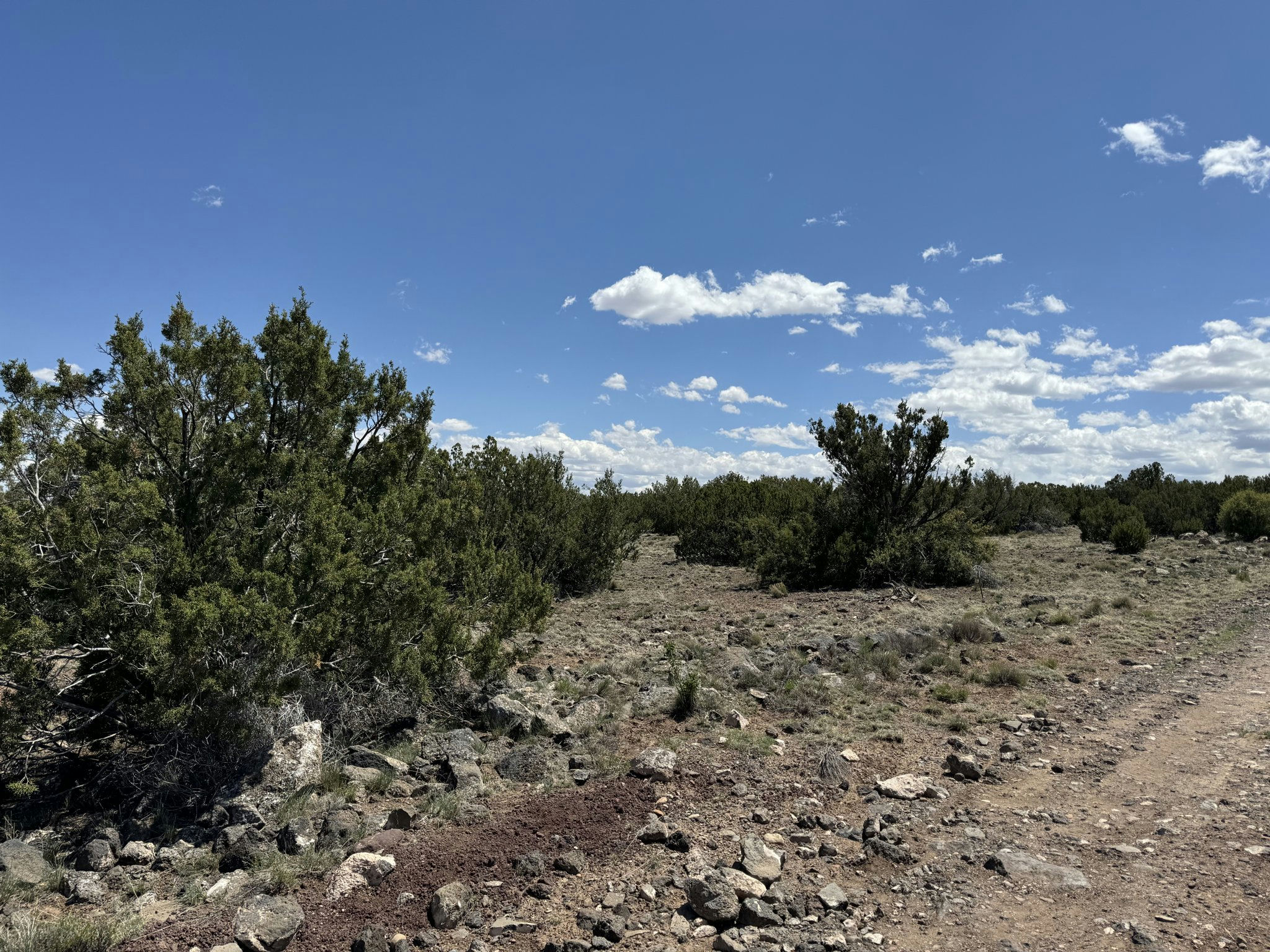 Concho AZ 5076 Rd 3.jpg