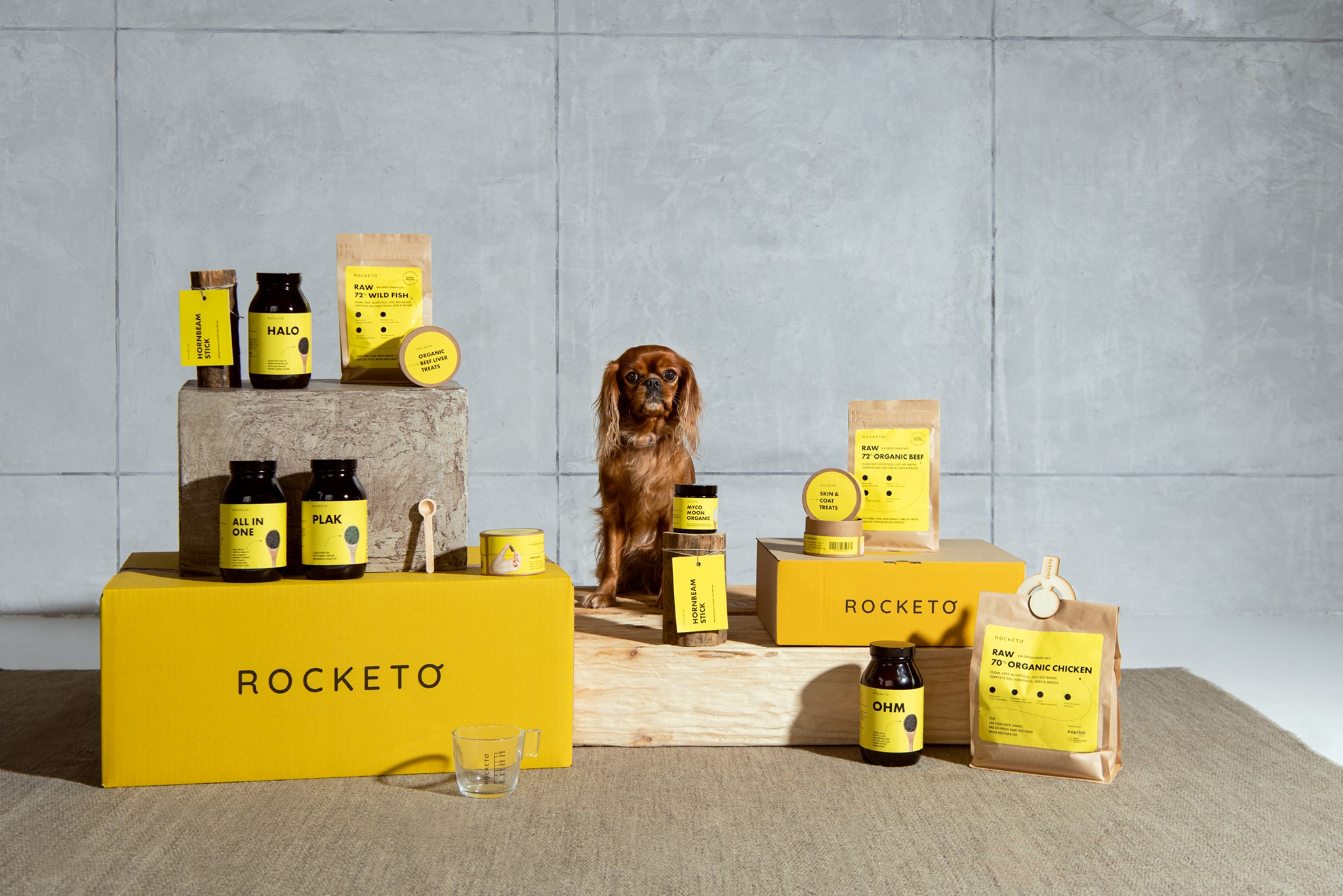 Rocketo