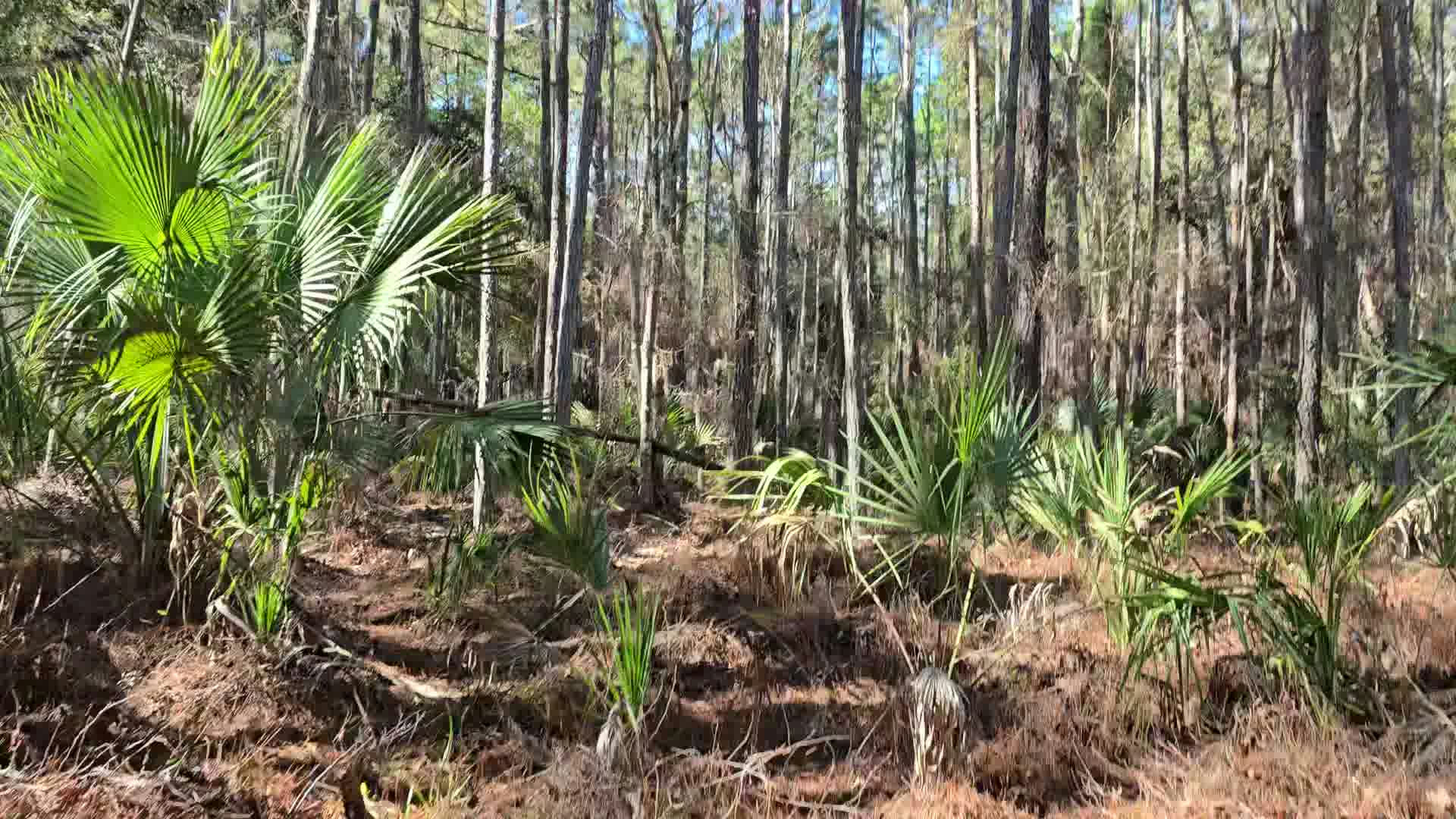 Copy of ezgif-frame-166.jpg
