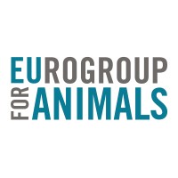 Campaigns Officer