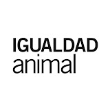 Digital Marketing Coordinator