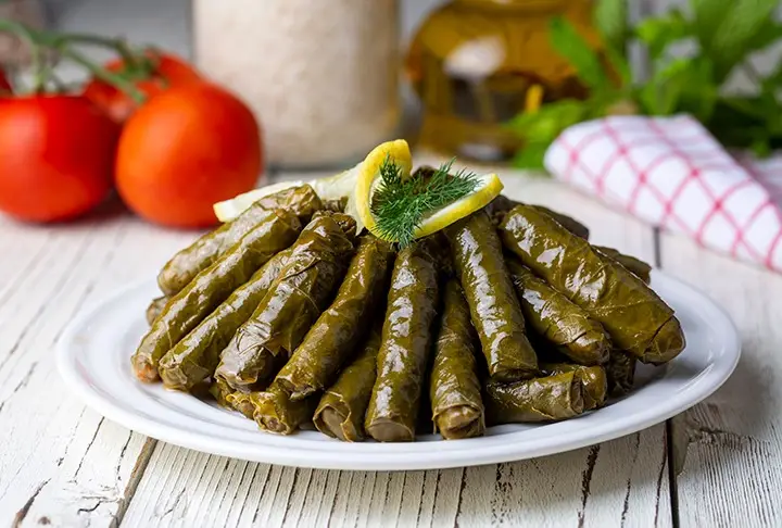 Zeytinyağlılar