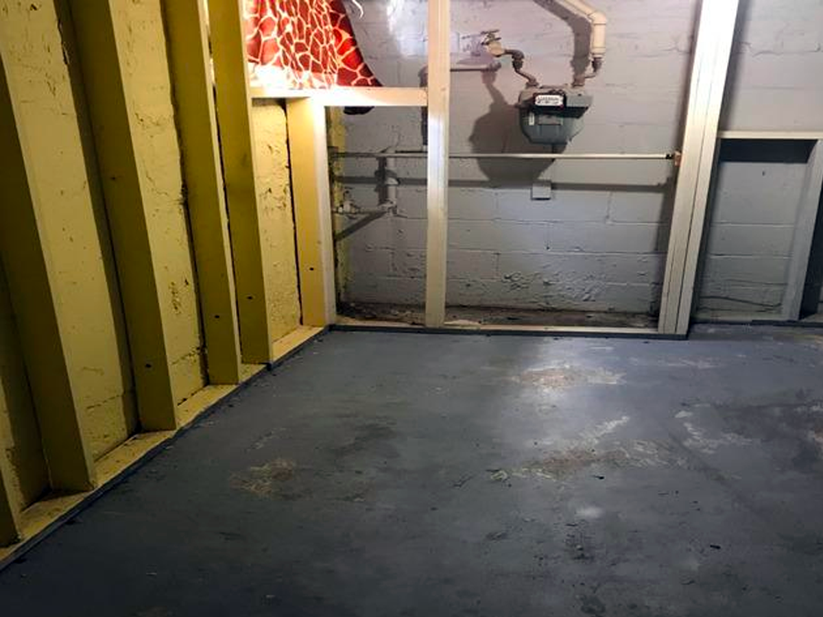 Basement Clean Outs