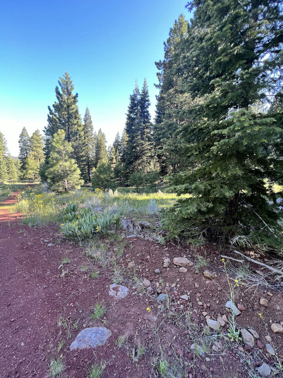 038-212-008-000 - 1.jpg