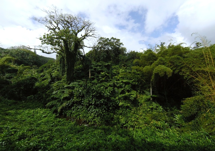Omdena feature image