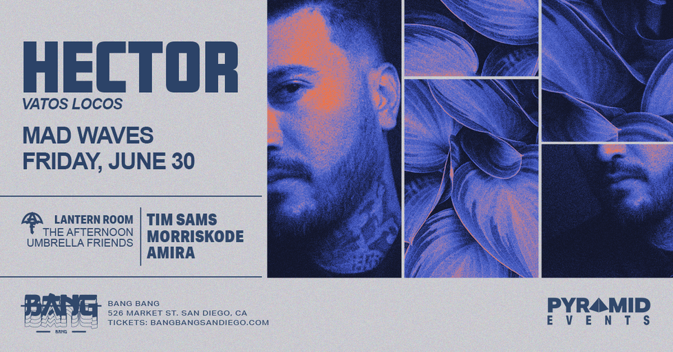 Flyer for Hector, Mad Waves