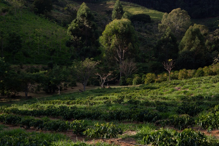 Omdena feature image