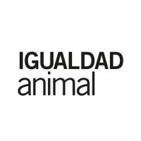 Senior Designer